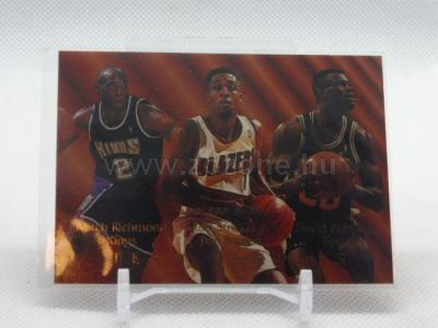 1994-95 Fleer TEAM LEADERS 1.